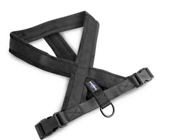 PRE103-L/XL Arnés acolchado Premium negro L/X